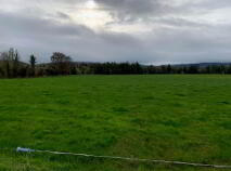 Photo 3 of Coolagh, Ballinaclough, Nenagh
