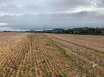 Photo 12 of Coolagh, Ballinaclough, Nenagh