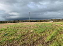 Photo 13 of Coolagh, Ballinaclough, Nenagh