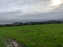 Photo 4 of Coolagh, Ballinaclough, Nenagh
