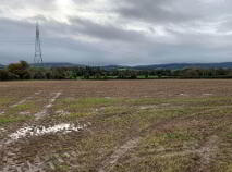 Photo 8 of Coolagh, Ballinaclough, Nenagh