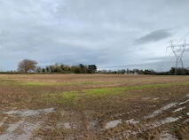 Photo 7 of Coolagh, Ballinaclough, Nenagh