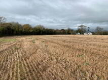 Photo 11 of Coolagh, Ballinaclough, Nenagh