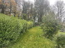 Photo 6 of 22 Castle Street, Cappoquin