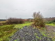 Photo 9 of Crown, Lissycasey