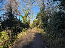 Photo 5 of (Lot 1) Donore, Longwood