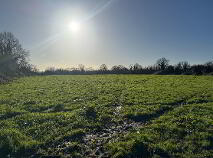 Photo 3 of (Lot 1) Donore, Longwood