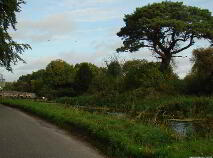 Photo 20 of Millrace, Osberstown, Naas