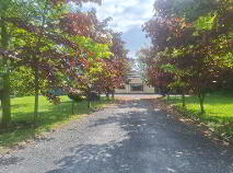 Photo 39 of Labaun, Mount Temple, Moate