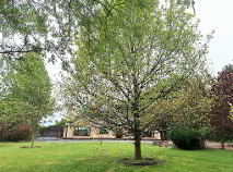 Photo 42 of Labaun, Mount Temple, Moate