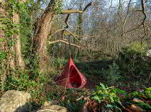 Photo 28 of Ballinara, Castledaly, Moate