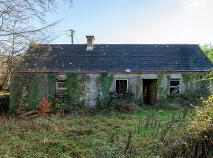 Photo 47 of Ballinara, Castledaly, Moate