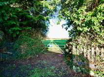 Photo 14 of Raheenagh, Newcastle West