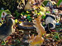 Photo 12 of Seskinryan, Seskinryan, Muine Bheag