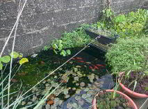 Photo 10 of 10 Western Terrace, Dungarvan