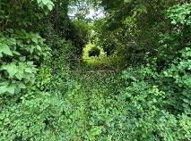 Photo 3 of Derryvalley, Ballybay