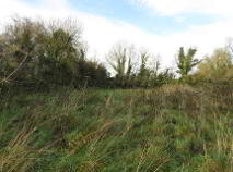 Photo 4 of Ballynoran, Ballyhea, Charleville