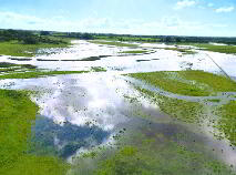 Photo 24 of Parkmore, Athleague