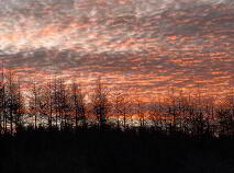 Photo 17 of Greenhills, Ballybritt, Roscrea