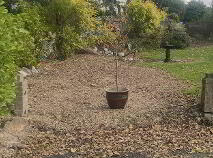 Photo 1 of Site At 16 Shrewsbury, Ballinlough, Cork