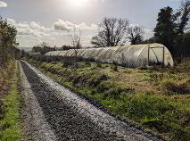 Photo 33 of Gurteen, Corriga, Carrigallen