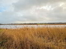 Photo 15 of Strand Road, Killurin, Wexford