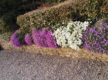 Photo 18 of Shanboe, Borris In Ossory, Portlaoise