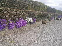 Photo 16 of Shanboe, Borris In Ossory, Portlaoise