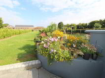 Photo 24 of 3 Emly Road, Hospital