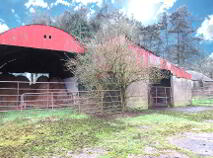 Photo 12 of Knockskehy, Tullylease, Charleville