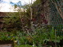 Photo 31 of Viola Cottage, St Josephs Road, Carlow Town