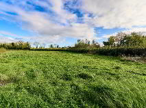 Photo 15 of Boardsmill, Trim