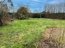 Photo 14 of Bushy Park, Kildinan