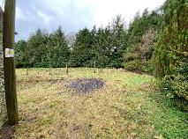 Photo 27 of Highpark Upper, Kiltegan