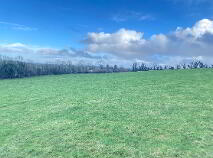 Photo 5 of Sheriffhill Moone, Moone