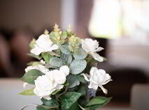 Photo 12 of 23 Lime Grove, Palatine, Carlow Town