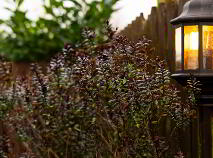 Photo 41 of 85 Crossneen Manor, Leighlin Road, Graiguecullen, Carlow Town