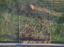 Photo 2 of Mullanadarragh, Carrigallen