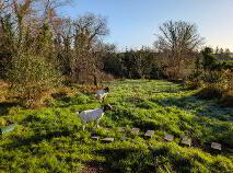 Photo 4 of Owengallis, Bawnboy