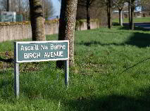 Photo 6 of 3 Birch Avenue, Phelim Wood, Tullow