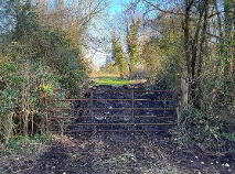 Photo 2 of 3.5 Acres Clonbarron, Kildalkey