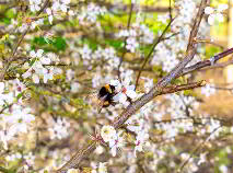 Photo 65 of Castle Lawn, Clogrennane