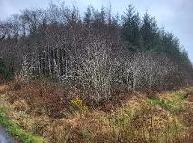 Photo 1 of Fuel, Curry, Co Sligo