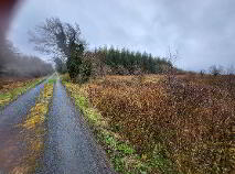 Photo 2 of Fuel, Curry, Co Sligo