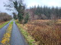 Photo 3 of Fuel, Curry, Co Sligo