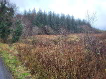 Photo 4 of Fuel, Curry, Co Sligo