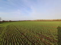 Photo 2 of Kilkillahara, Thurles