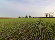 Photo 3 of Kilkillahara, Thurles