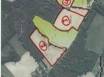 Photo 1 of 37 Acres, 1st & 2nd Cut Silage, Casteltown, Coolbawn, Nenagh