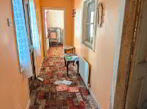 Photo 4 of Boley, Bawnboy